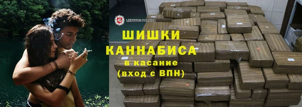 индика Балабаново