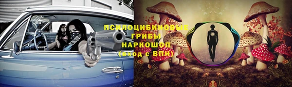 МДПВ Аркадак