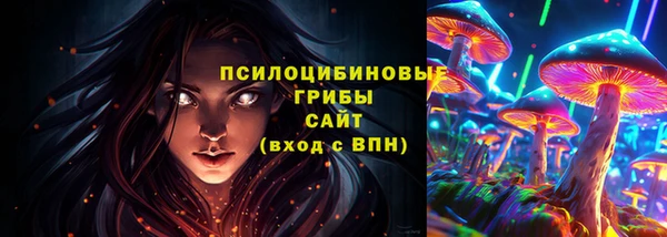 бутират Арсеньев