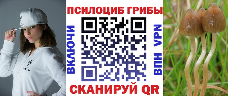 Псилоцибиновые грибы Cubensis кракен зеркало Белебей наркота